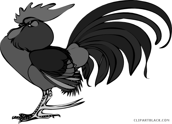 Rooster Animal Free Black White Clipart Images Clipartblack - Custom Rooster Shower Curtain (600x432)