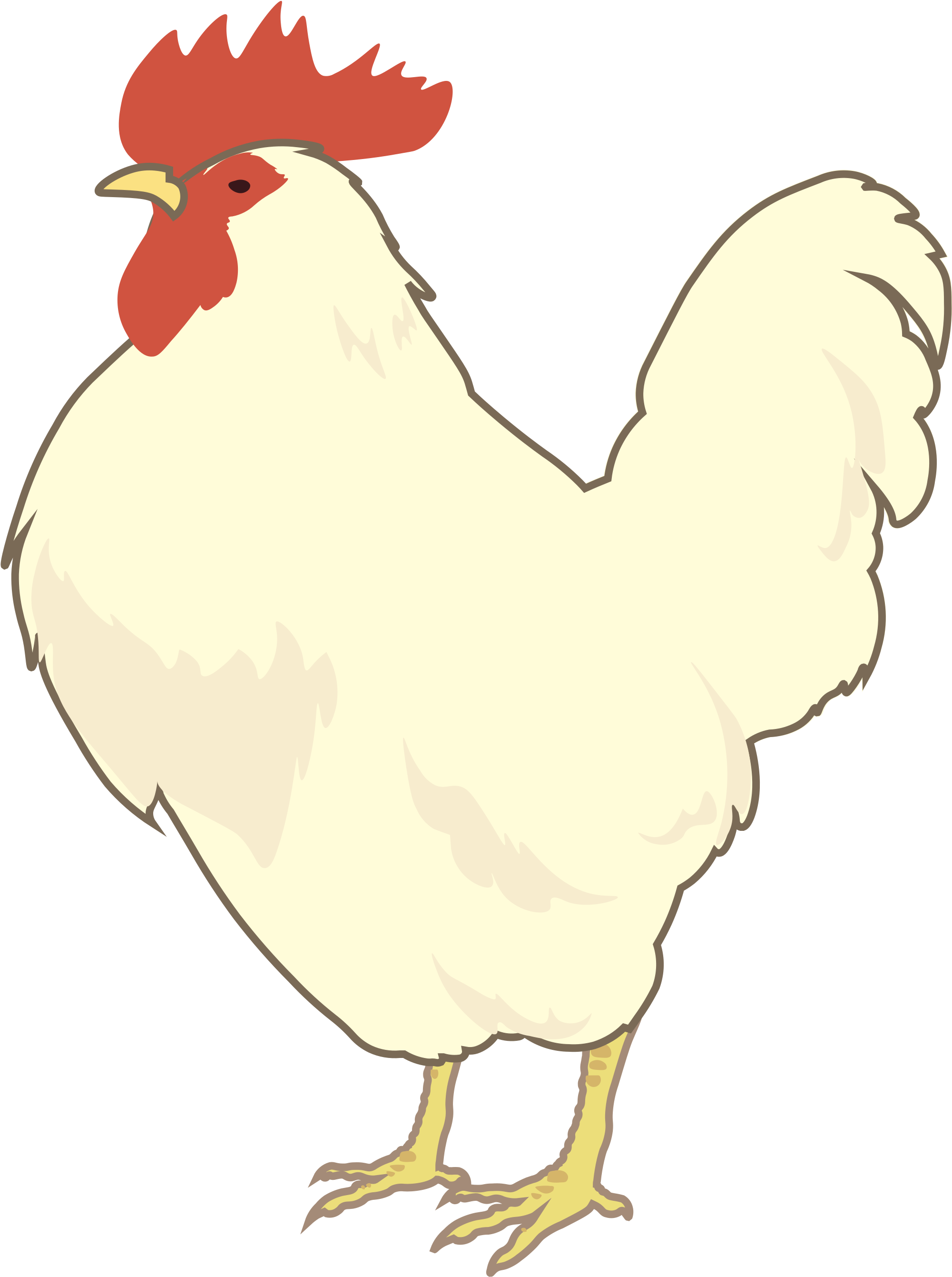 Open - Leghorn Chicken (2000x2688)