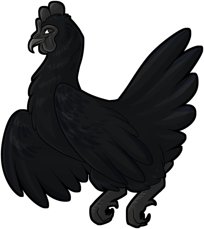 Ayam Cemani Chicken By Draikinator - Ayam Cemani (843x948)