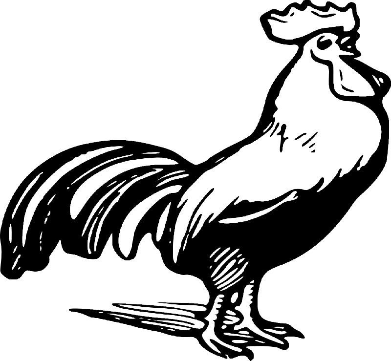 Rooster Clipart Black And White (800x739)
