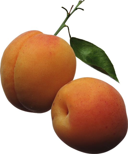 Free Png Peaches Png Images Transparent - Apricots Clipart (534x640)