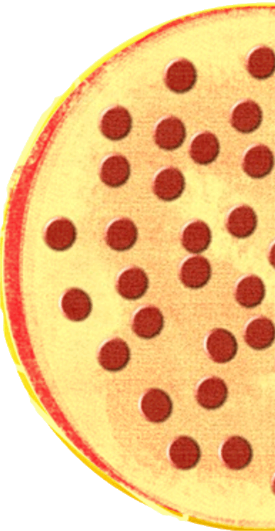Pizza Clipart Half And Half - Half Pizza Fractions (387x748)