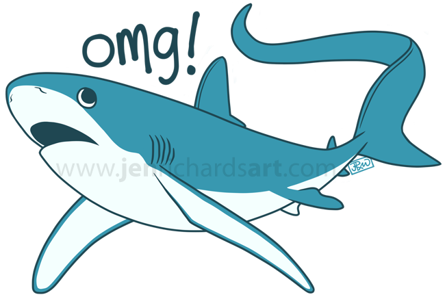 It Doesn't Matter Which Picture Of A Thresher Shark - Thresher Sharks (650x434)