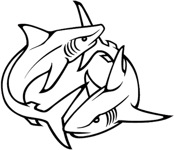 Tribal Shark Tattoos Designs 07 1 - Shark Tattoo Drawing (600x521)