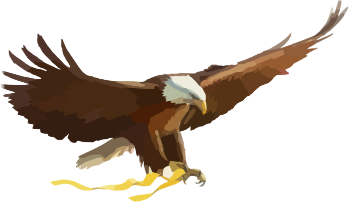 American Eagle Pictures Clip Art I9inje Clipart - American Flag With Eagle (700x525)