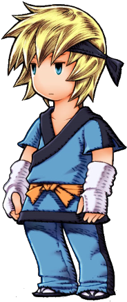 Deadly Even With Nothing In Her Hands, A Black Belt - Ff3 Monk Ingus (400x450)