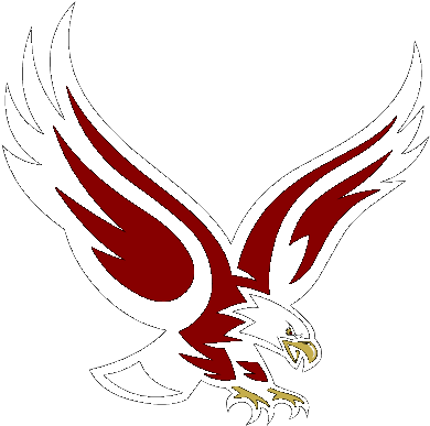 Report - Boston College Eagles Logo (408x405)