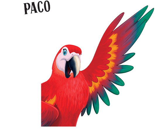 Passport To Peru Vbs - Peru Vbs (570x541)