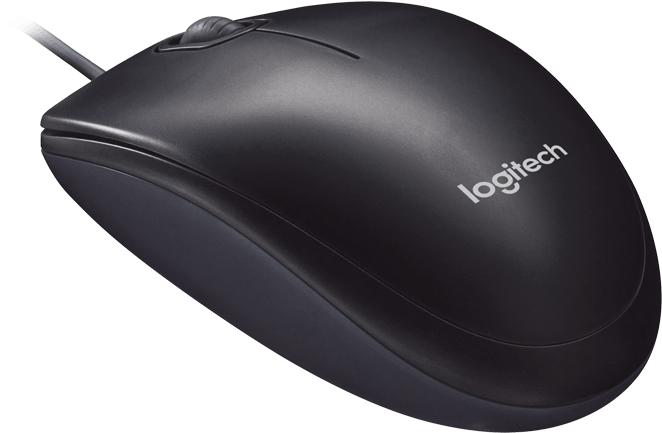 Computer Mouse Apple Usb Mouse Optical Mouse Logitech - Logitech B100 Optical Usb Mouse (800x687)