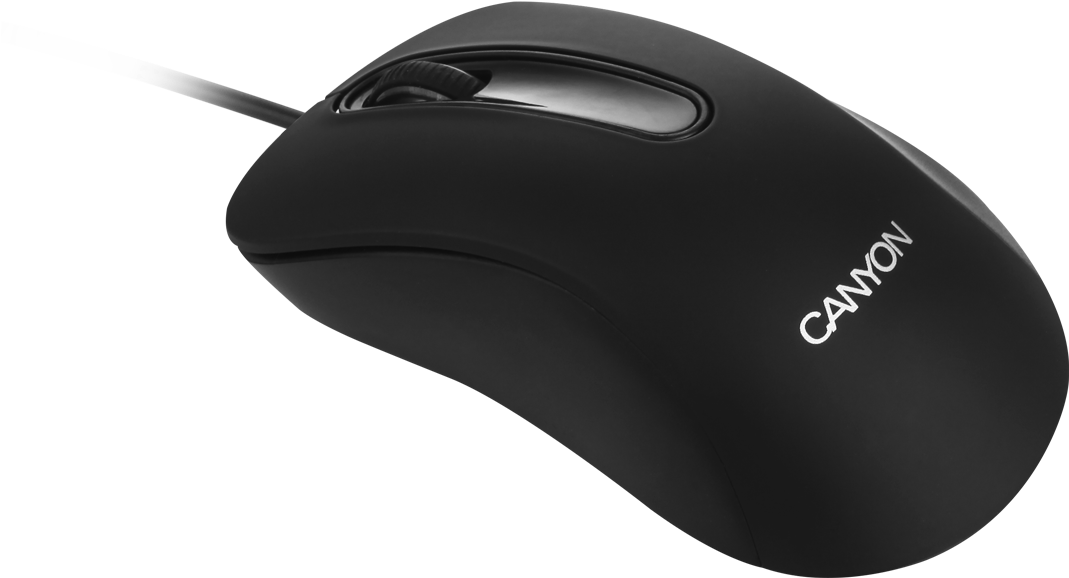 This Simple Optical Mouse Is Well Ergonomically Balanced - Canyon Cne-cmsw2 - Wireless Optical Mouse - Pc/mac (1280x1280)