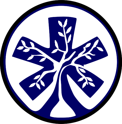 Med On Site Inc - Emblem (468x474)