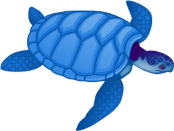 Sea Turtle Clipart Colorful - Sea Turtle Clip Art (600x452)