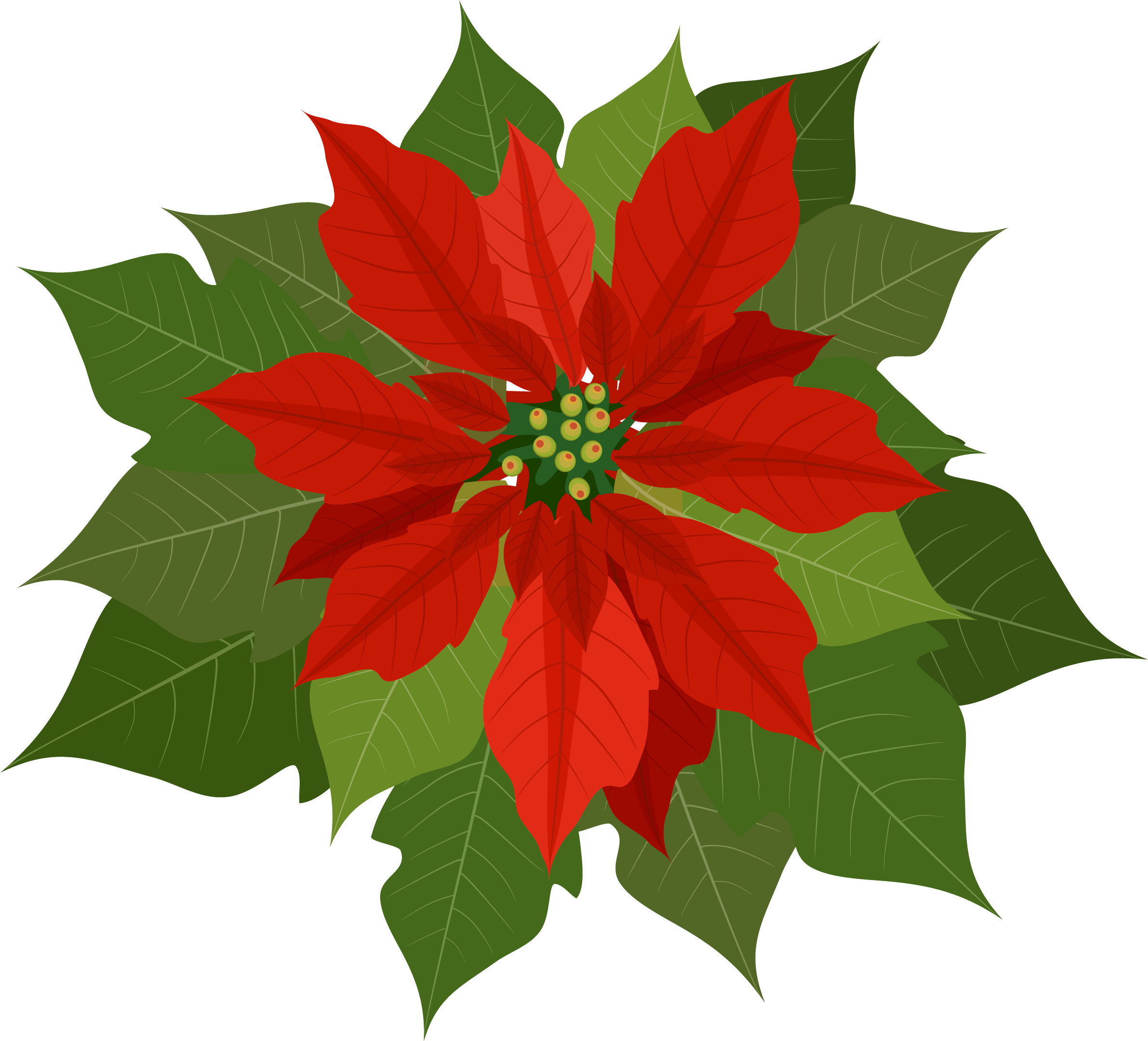 Poinsettia Clipart - Poinsettia Clipart Png (2469x2248)