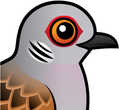 About The European Turtle Dove - Pigeons And Doves (440x440)