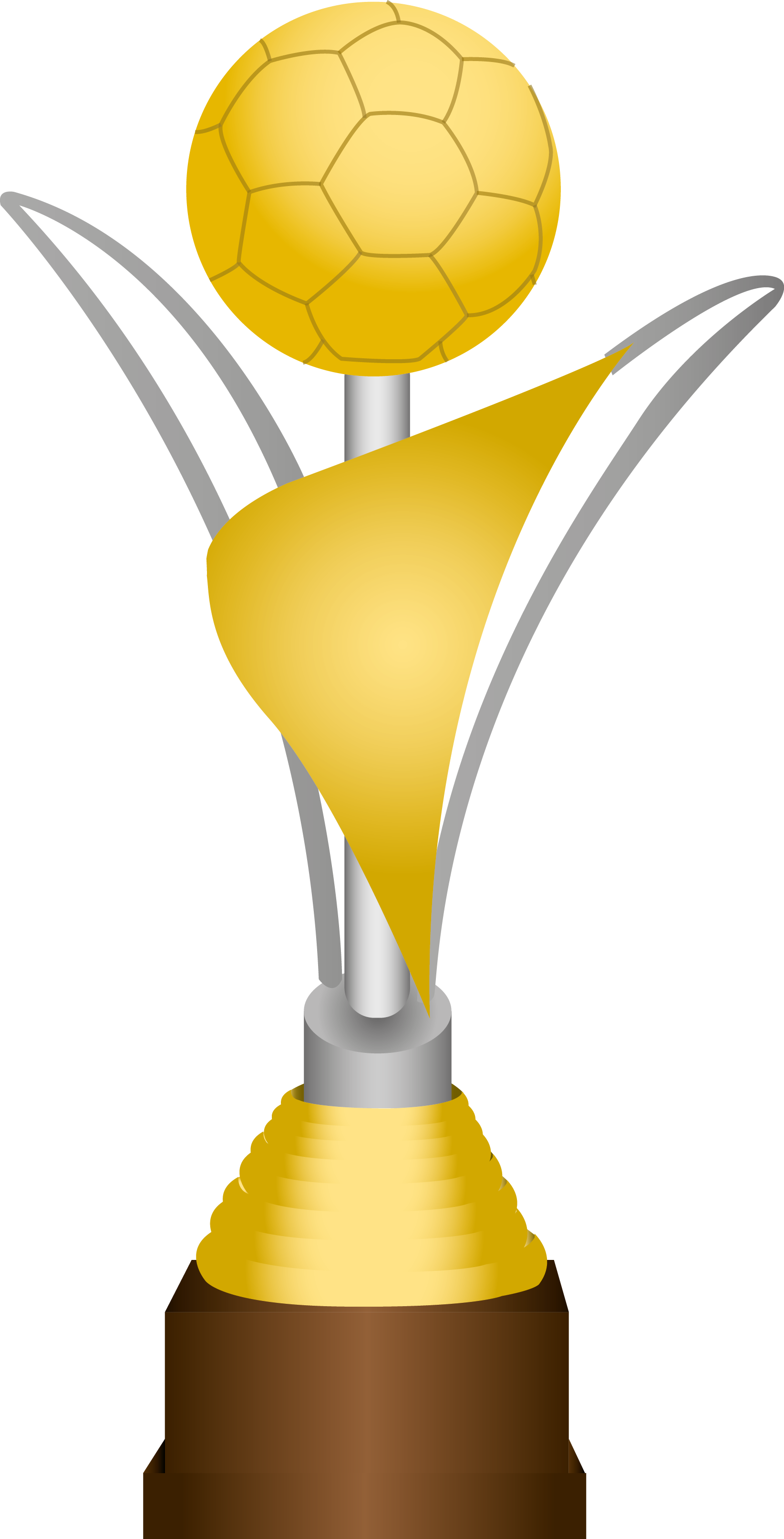 Costa Rican Primera Division Trophy Icon - Trofeo De Costa Rica (1644x3226)