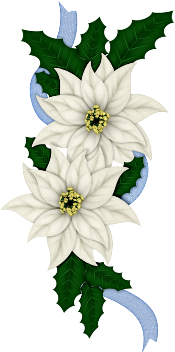 Frosty Days - Season's Greetings- Christmas, Holiday, Poinsettia (404x762)