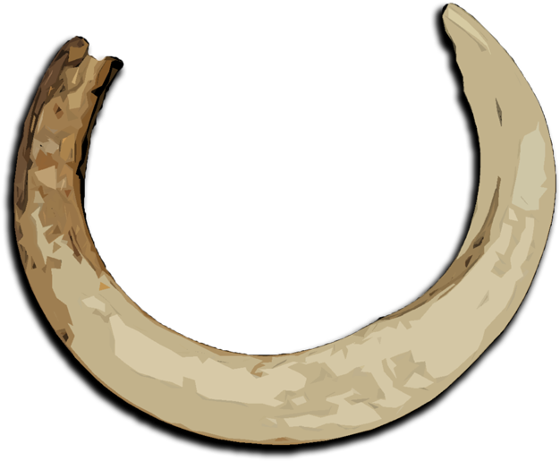 Boar Tusk - Horseshoes (640x532)