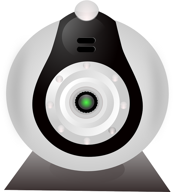 Professional Digital Video Camera Recorder Icon - Vector Web Cam Png (576x640)