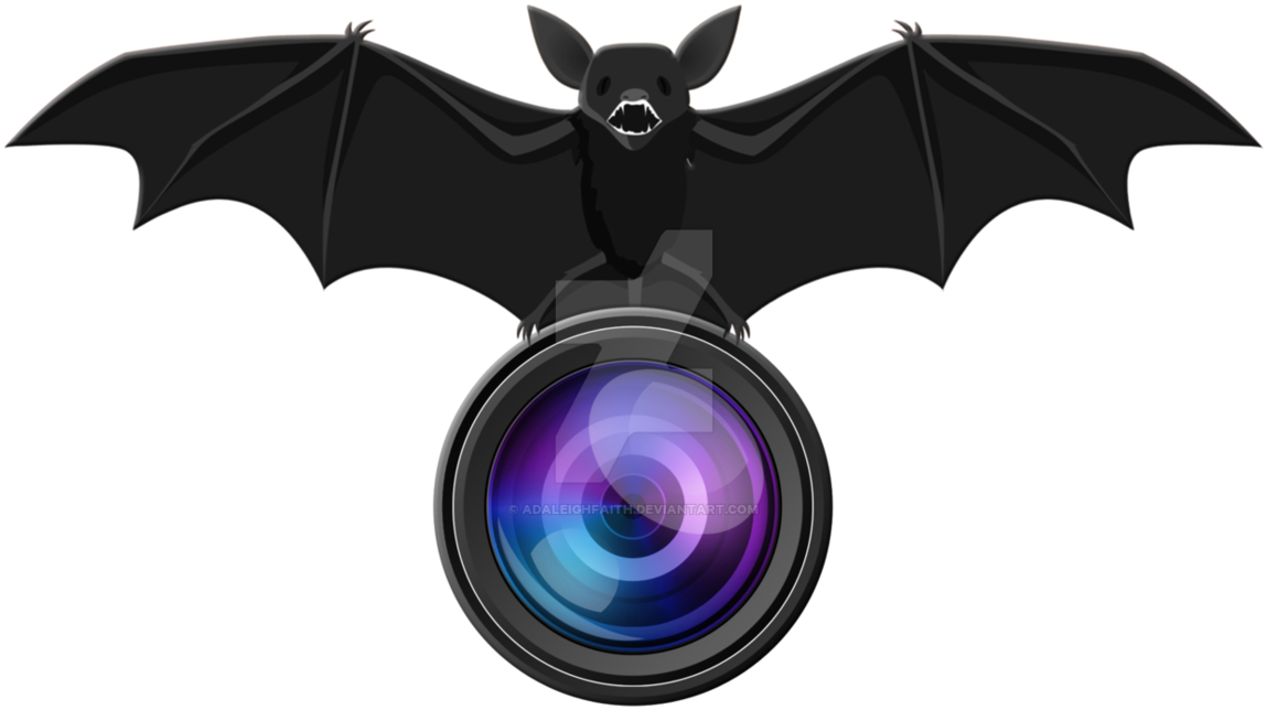 Adaleigh Faith Photography Logo By Adaleighfaith On - Extreme Fliers Micro Drone Camera Module Hd 1280p X (1182x675)