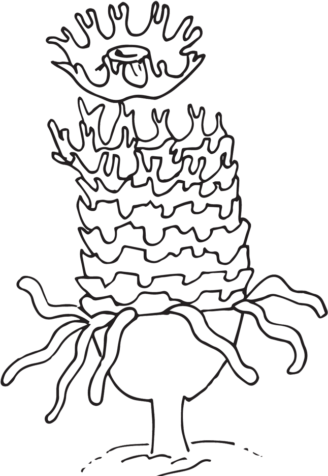 Jellyfish Clipart - Illustration (1000x1000)