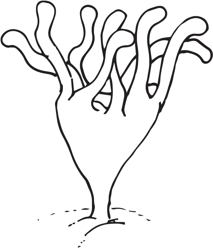 Jellyfish Clipart Brown - Clipart Black And White Deep Jellyfish (1000x1000)