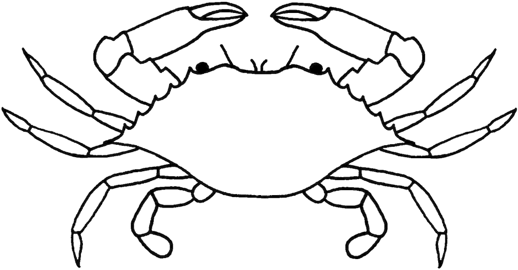 Art Jellyfish - Blue Crab Clip Art (1100x639)