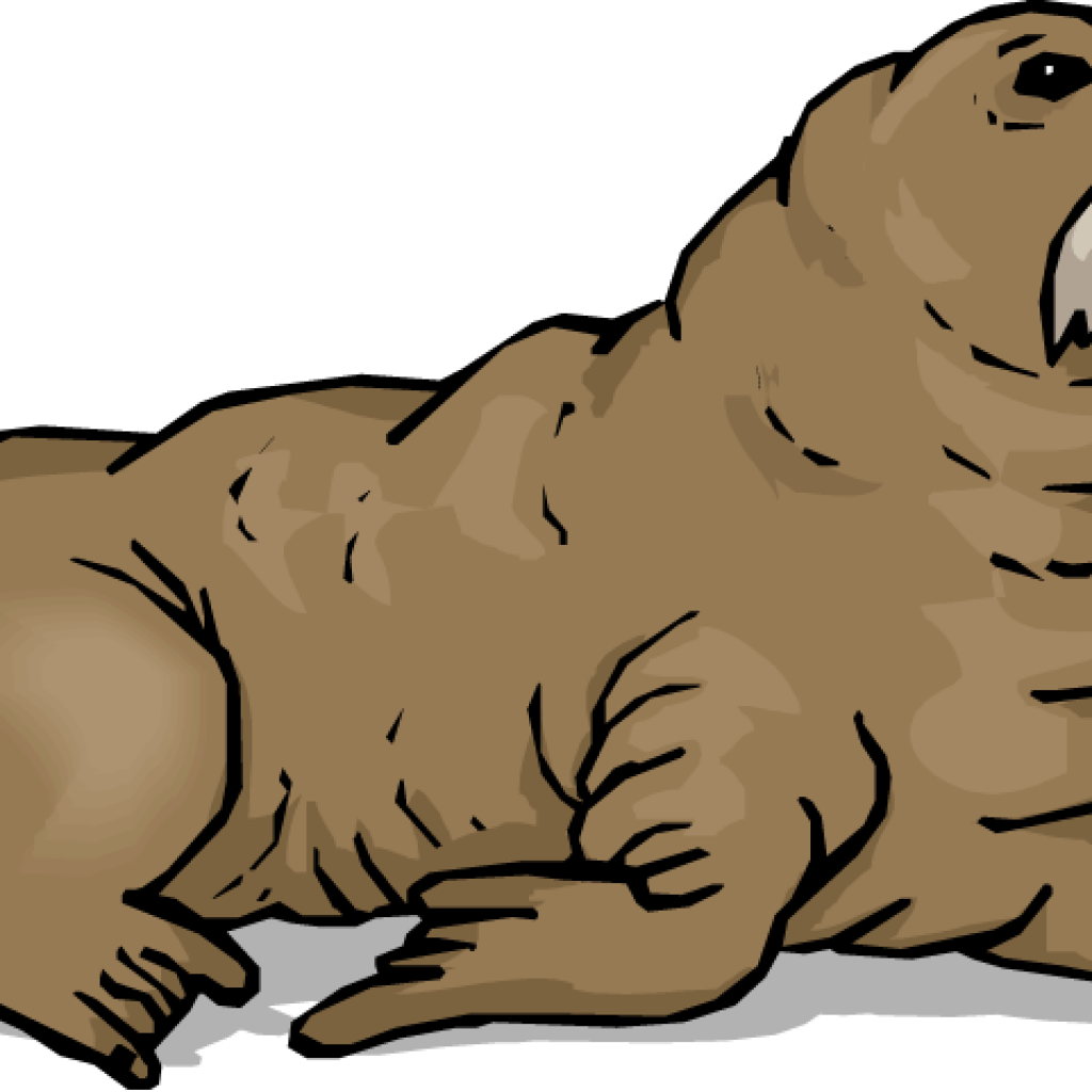 Walrus Clipart Panda Free Images Music - Walrus Clip Art (1024x1024)