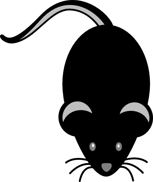 Black Mouse Light Grey Eyes Clip Art At Clker - Clipart Black Mouse (504x599)