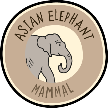 Chester Zoo (368x368)