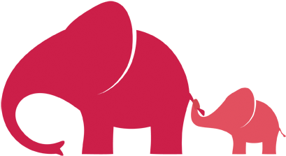 Indian Elephant (432x288)