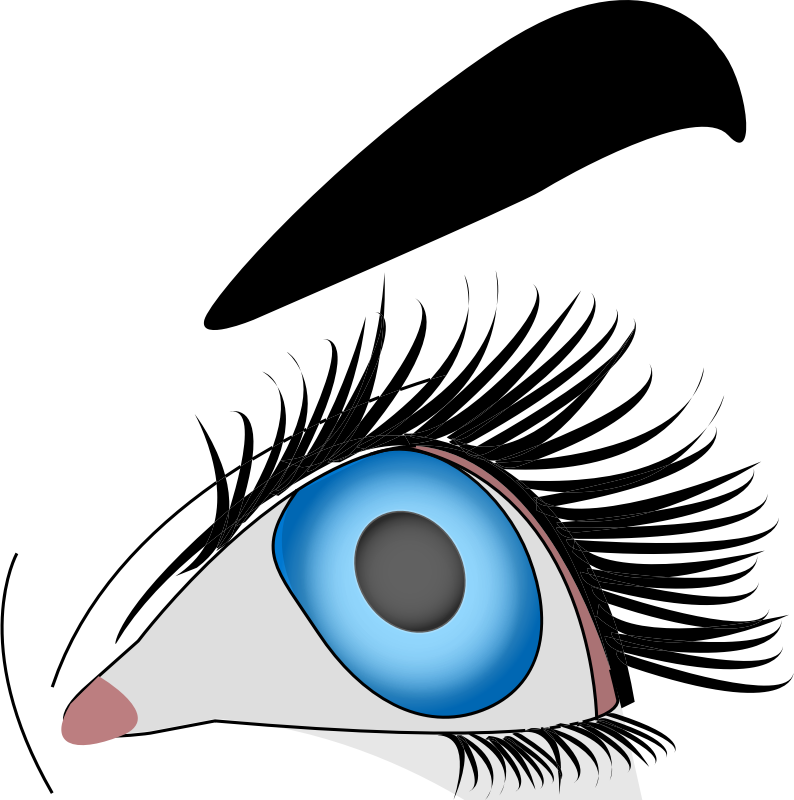 Avec A Vue Blue Eyes Makeup Of A Woman Looking With - Oeil Clipart (794x800)