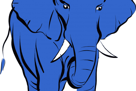 Bluefant Grayish - Elephant (465x311)