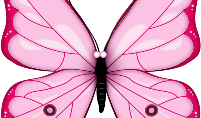 Butterfly Clipart Vector - Pink Butterfly Clip Art (678x381)