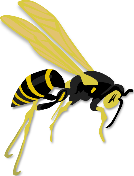 Wasp Clipart Png (456x597)