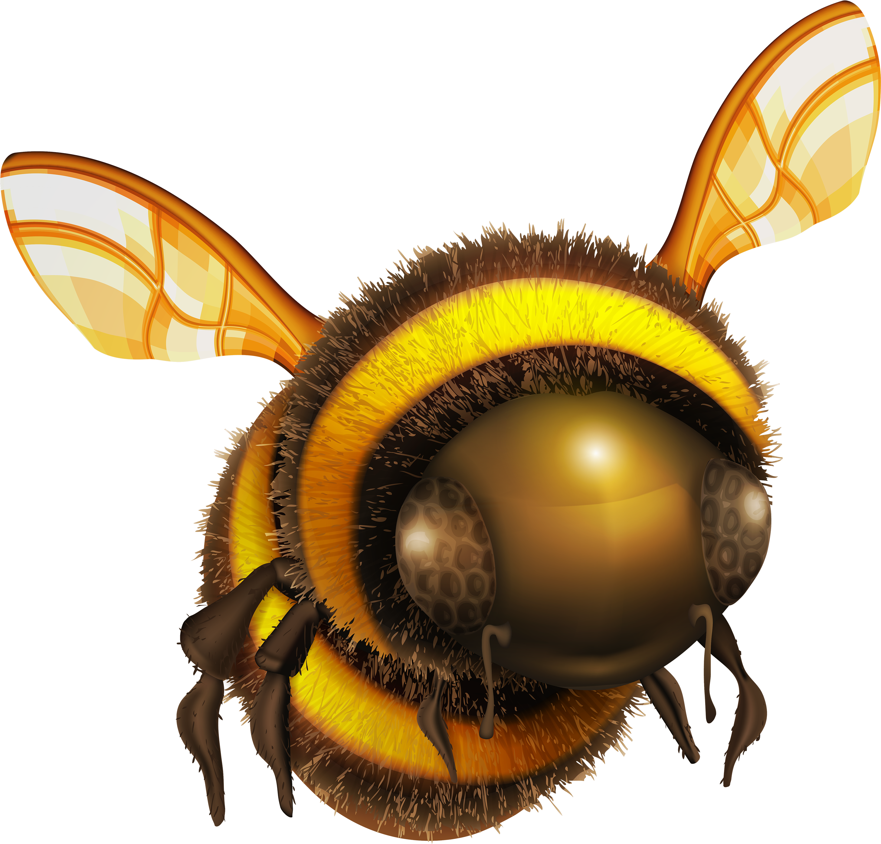 Bee Png Clip Art - Bee Png (3000x2870)