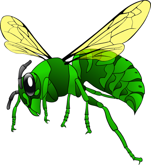 Green Hornet Png (528x576)