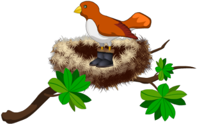 Bird In Nest - Cartoon Bird In Nest Png (640x480)