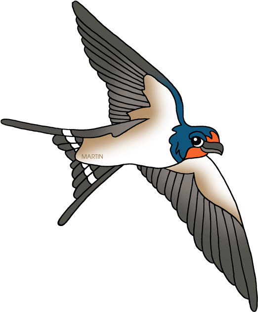 Barn Swallow - Free Transparent Clipart Swallow (559x648)
