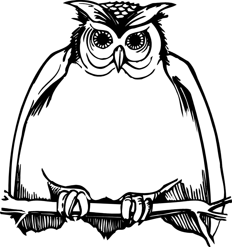 Horned Owl Clipart Black And White - Harry Potter Happy Birthday Card (958x1020)