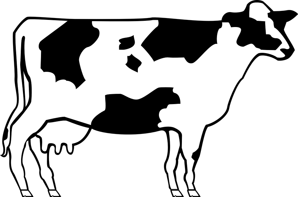 Beef Clipart Farm Animal - Simple Cow (960x634)