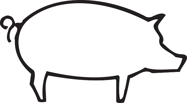 Barn Outline Outline Barn Farm Pig Art Animal Pictures - White Pig Silhouette Png (640x354)