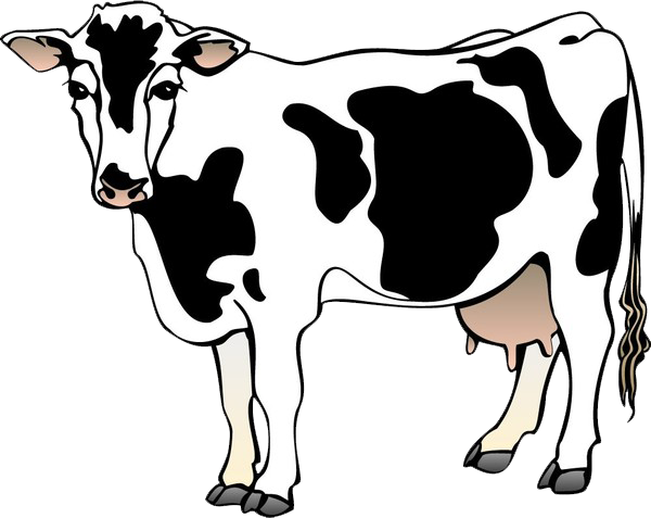 Cow Vector - Clipart Library - Cow Clipart (600x477)