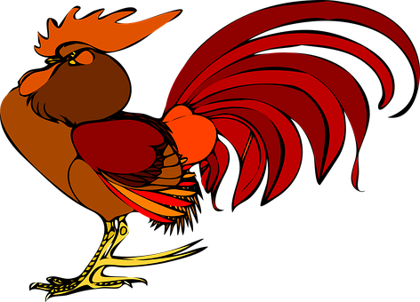 Rooster Chicken Bird Farm Barn Cockscomb P - Gallo Clipart (640x461)
