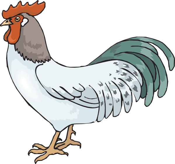 Farm Rooster Clip Art - Rooster Clipart (600x565)