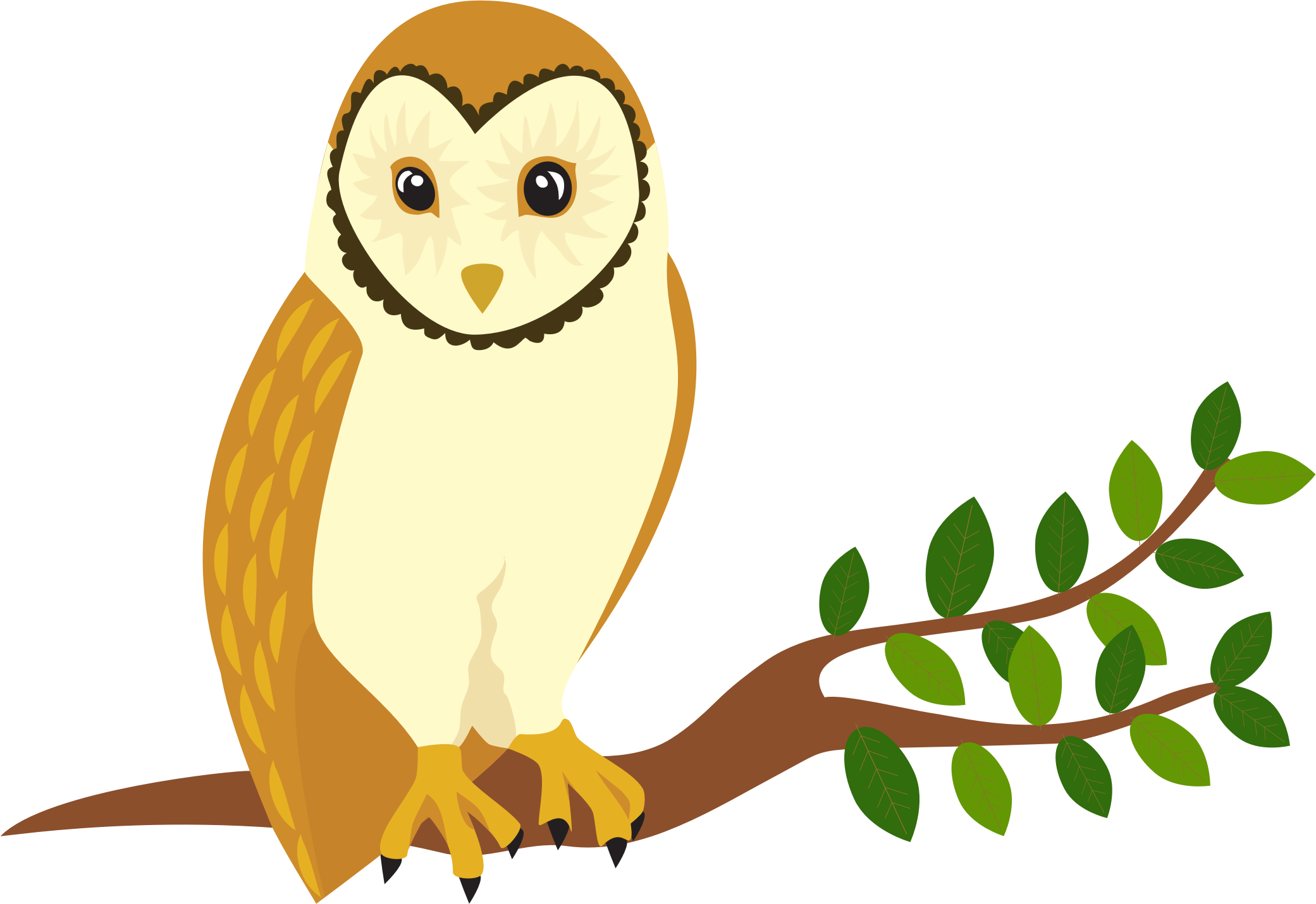 Big Image - Owl (2081x1431)