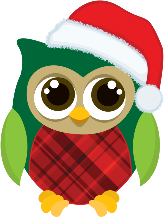 Christmas Owl Clip Art - Christmas Owl Clipart (678x900)