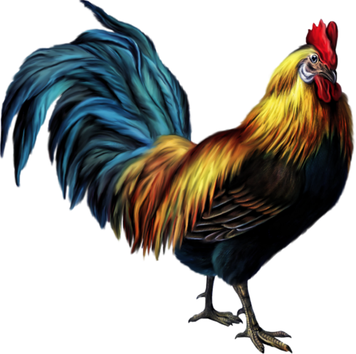 0 Edd08 Ec4858fc L - Rooster Images Clip Art (500x498)