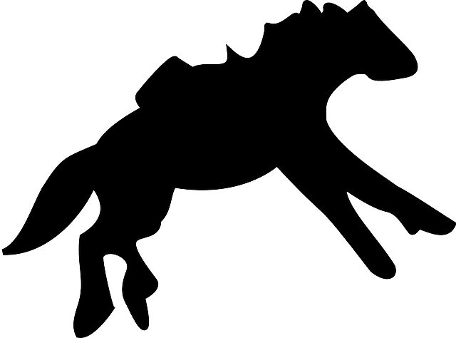 Mammal Silhouette, Farm, Horse, Running, Animal, Mammal - Horse (640x474)