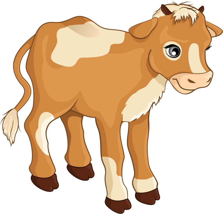 Cow Artfarm Animalscartoon - Clip Art Calf (800x776)