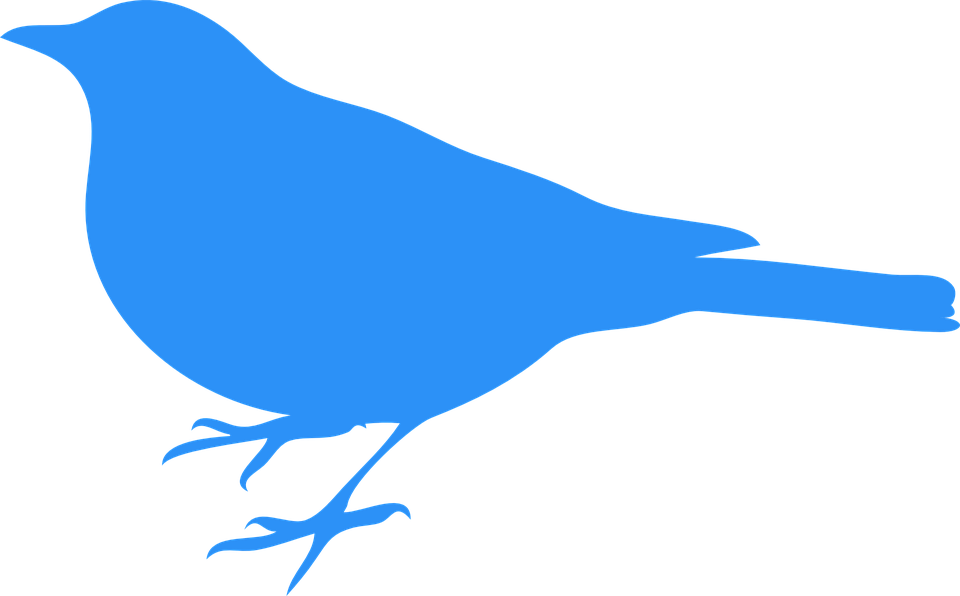 Bird Silhouette Clip Art (960x596)
